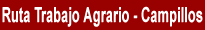 Ruta del Trabajo Agrario. Campillos