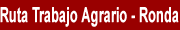 Ruta del Trabajo Agrario. Ronda