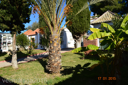 Foto 9