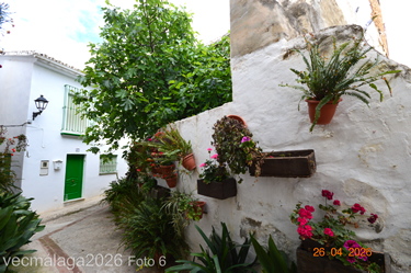 Foto 6