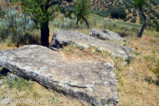 Foto 1. Dolmen 1. Icono azul